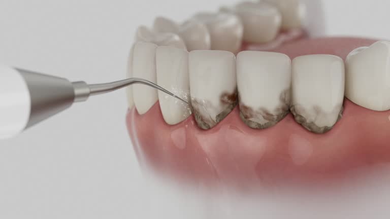 Reliable Dental contractor in New Haven, MI by Dentist Open Now